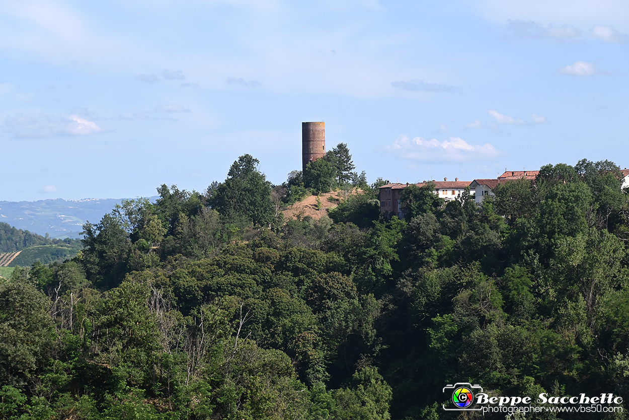 VBS_4728 - Il bosco fatato - Montaldo Roero.jpg